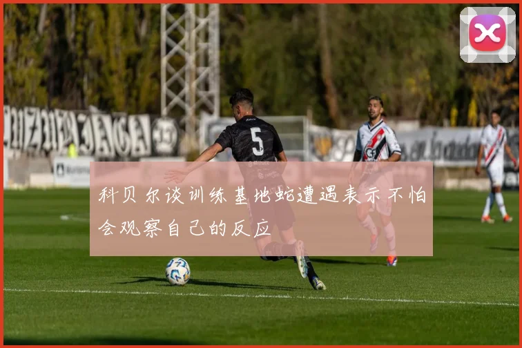 科贝尔谈训练基地蛇遭遇表示不怕会观察自己的反应