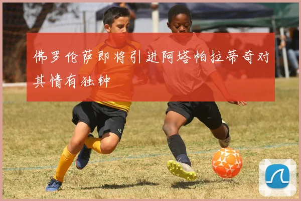 佛罗伦萨即将引进阿塔帕拉蒂奇对其情有独钟